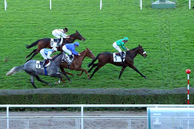 Photo d'arrivée de la course pmu PRIX LOISIR à SAINT-CLOUD le Lundi 9 novembre 2015