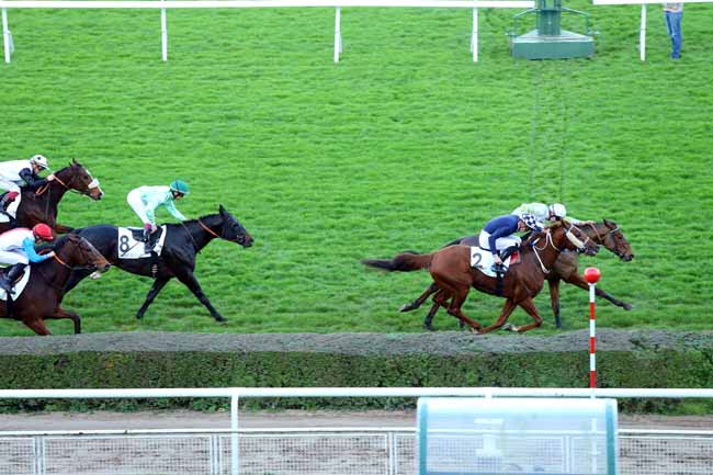 Photo d'arrivée de la course pmu PRIX DE NEAUFLES-SAINT-MARTIN à SAINT-CLOUD le Lundi 9 novembre 2015