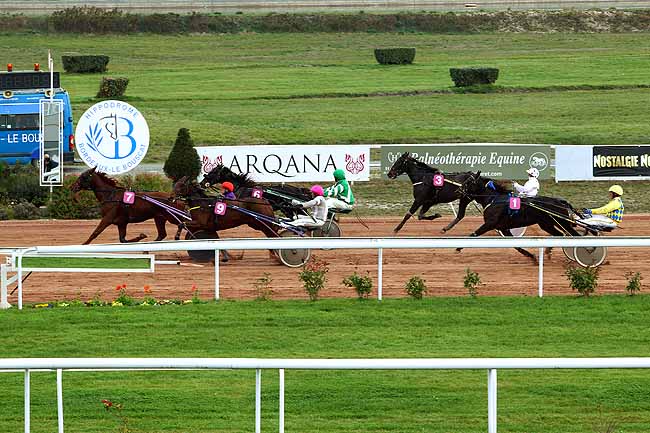 Photo d'arrivée de la course pmu PRIX DE SAUTERNES (GR A) à BORDEAUX-LE BOUSCAT le Mardi 10 novembre 2015