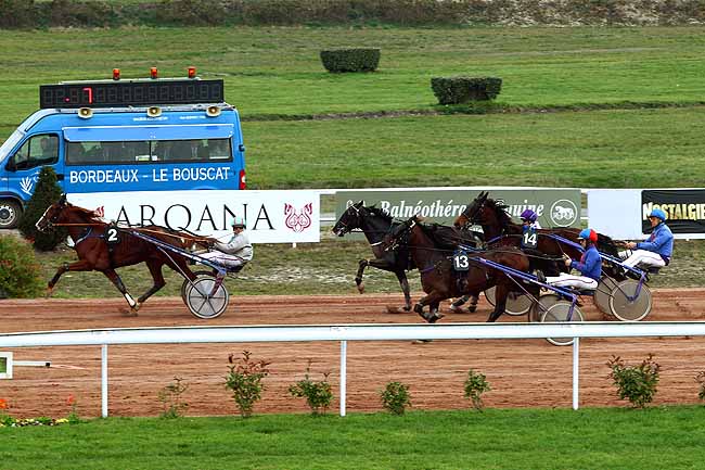 Photo d'arrivée de la course pmu PRIX MICHEL GUY BOURGUIGNON à BORDEAUX-LE BOUSCAT le Mardi 10 novembre 2015