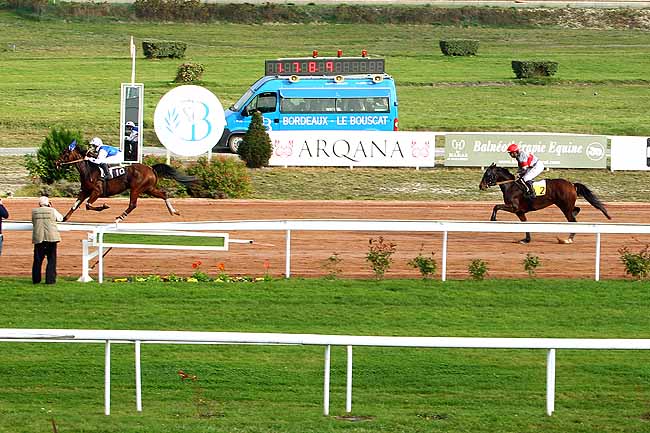 Photo d'arrivée de la course pmu PRIX DE VICHY à BORDEAUX-LE BOUSCAT le Mardi 10 novembre 2015