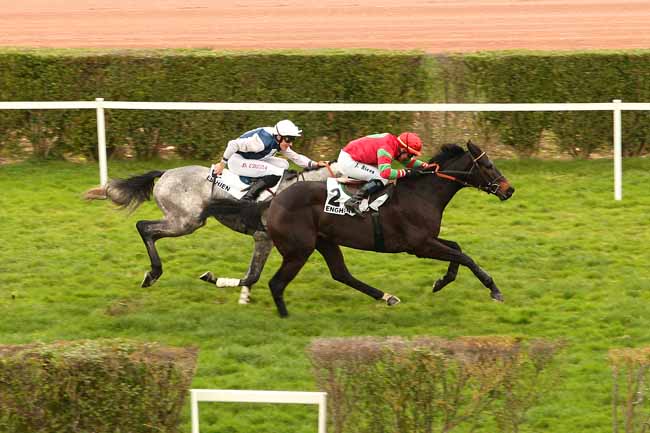 Photo d'arrivée de la course pmu PRIX AGENOIS à ENGHIEN le Mardi 10 novembre 2015