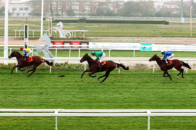 Photo d'arrivée de la course pmu PRIX D'ESQUIROL à TOULOUSE le Mercredi 11 novembre 2015