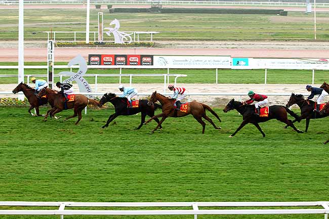 Photo d'arrivée de la course pmu PRIX DE LA VILLE DE TOULOUSE à TOULOUSE le Mercredi 11 novembre 2015
