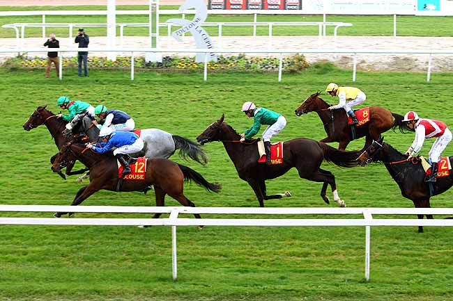 Photo d'arrivée de la course pmu PRIX FILLE DE L'AIR à TOULOUSE le Mercredi 11 novembre 2015