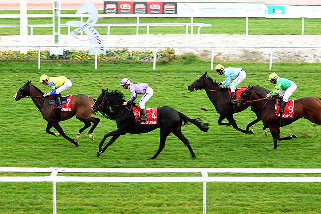 Photo d'arrivée de la course pmu PRIX DE BELLERIVE à TOULOUSE le Mercredi 11 novembre 2015