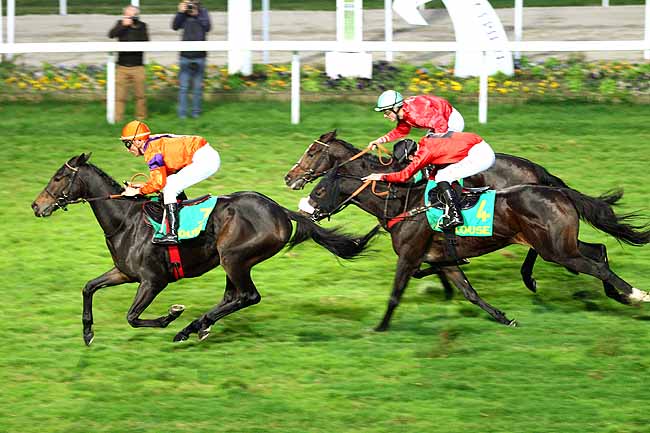 Photo d'arrivée de la course pmu GRAND NATIONAL DES ANGLO-ARABES A 12.5 % à TOULOUSE le Mercredi 11 novembre 2015