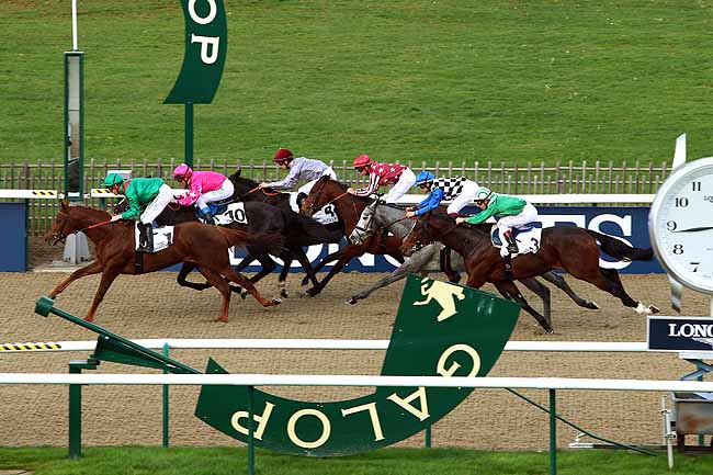 Photo d'arrivée de la course pmu PRIX DES MAITRES D'EQUIPAGE à CHANTILLY le Vendredi 13 novembre 2015