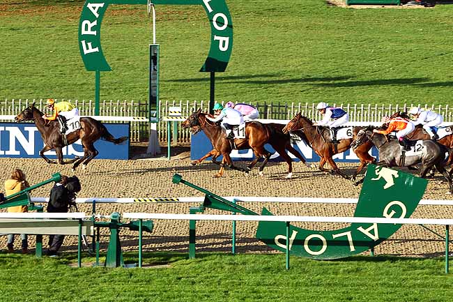 Photo d'arrivée de la course pmu PRIX DE LA BERGERIE à CHANTILLY le Vendredi 13 novembre 2015