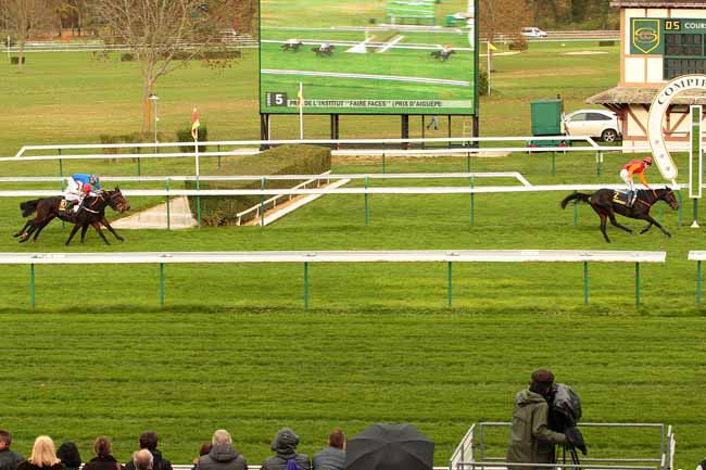 Photo d'arrivée de la course pmu PRIX D'AIGUEPERSE à COMPIEGNE le Samedi 14 novembre 2015