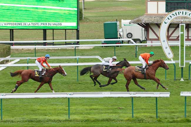 Photo d'arrivée de la course pmu PRIX DU VALOIS à COMPIEGNE le Samedi 14 novembre 2015
