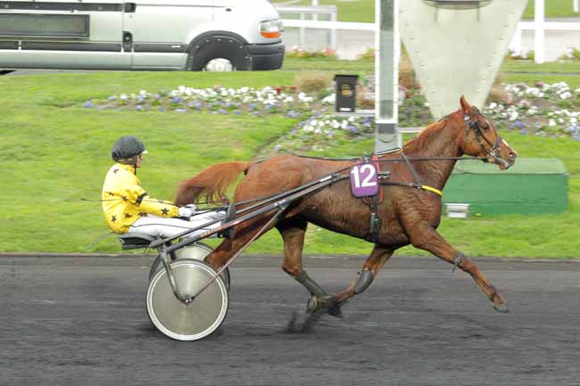 Photo d'arrivée de la course pmu PRIX DE SENONNES (GR B) à PARIS-VINCENNES le Lundi 16 novembre 2015