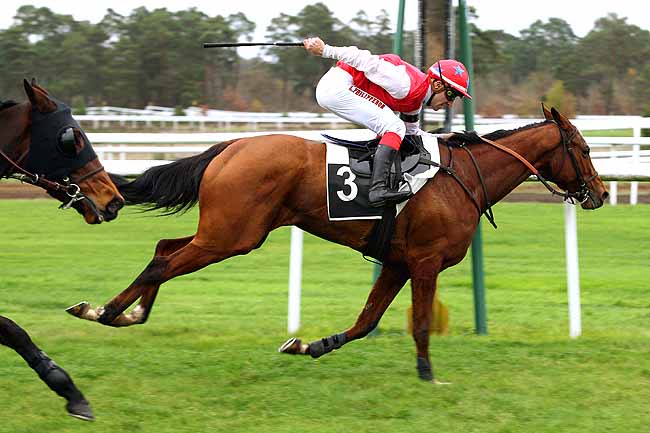 Photo d'arrivée de la course pmu PRIX DE LA TABLE DU ROI à FONTAINEBLEAU le Lundi 16 novembre 2015