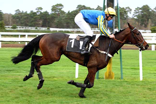 Photo d'arrivée de la course pmu PRIX HENRY MAZE-SENCIER à FONTAINEBLEAU le Lundi 16 novembre 2015