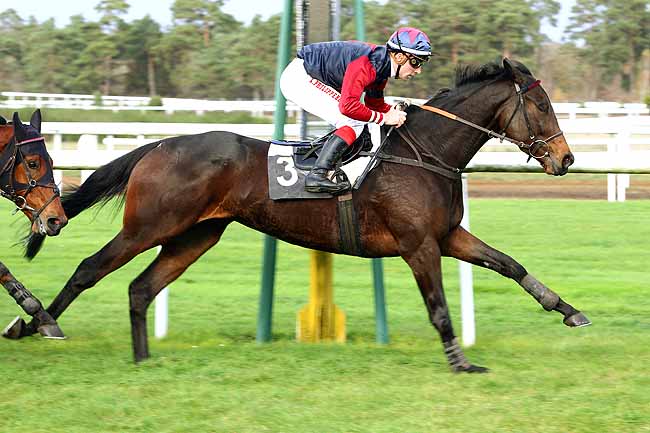 Photo d'arrivée de la course pmu PRIX DU GRAND PARQUET à FONTAINEBLEAU le Lundi 16 novembre 2015