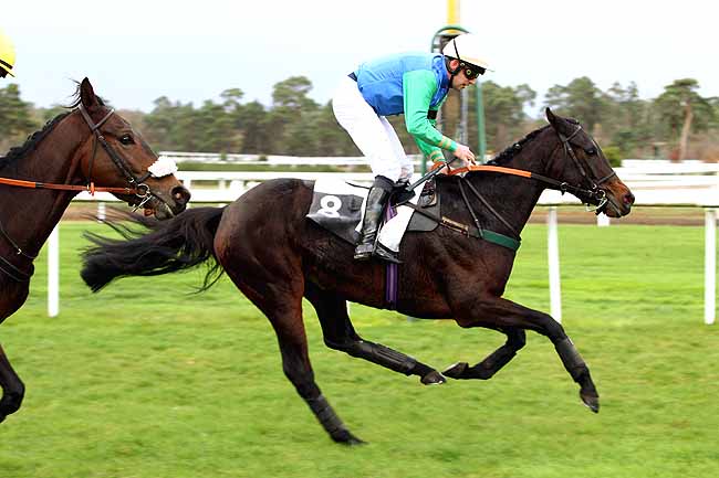 Photo d'arrivée de la course pmu PRIX DES GRANDS FEUILLARDS à FONTAINEBLEAU le Lundi 16 novembre 2015