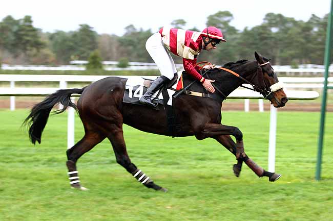 Photo d'arrivée de la course pmu PRIX COLONEL BEAUJEAN à FONTAINEBLEAU le Lundi 16 novembre 2015