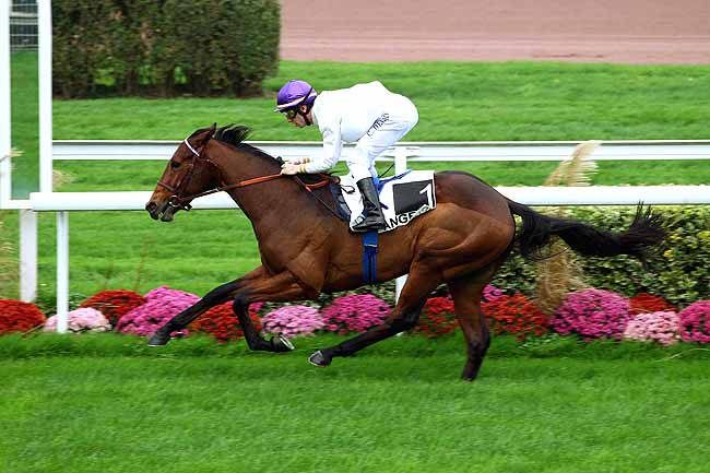 Photo d'arrivée de la course pmu PRIX KERAUTEM à ANGERS le Mardi 17 novembre 2015
