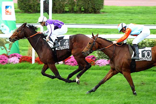 Photo d'arrivée de la course pmu PRIX COMMANDANT DE LA BRUNIERE à ANGERS le Mardi 17 novembre 2015
