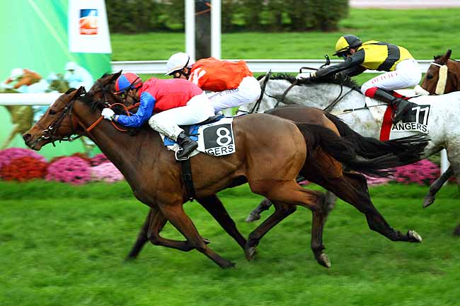 Photo d'arrivée de la course pmu PRIX GEORGES CADIOU à ANGERS le Mardi 17 novembre 2015