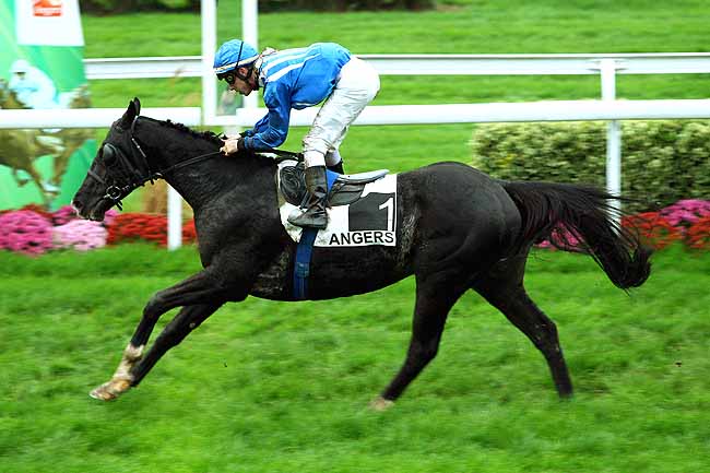 Photo d'arrivée de la course pmu PRIX PLANTAGENET à ANGERS le Mardi 17 novembre 2015