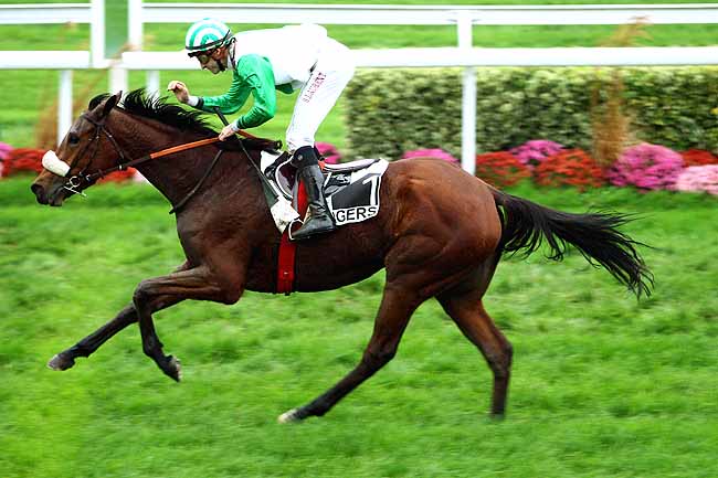 Photo d'arrivée de la course pmu PRIX DAVID D'ANGERS à ANGERS le Mardi 17 novembre 2015