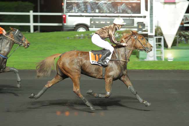 Photo d'arrivée de la course pmu PRIX THISBE à PARIS-VINCENNES le Mardi 17 novembre 2015