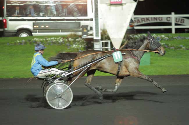 Photo d'arrivée de la course pmu PRIX GERDA à PARIS-VINCENNES le Mardi 17 novembre 2015