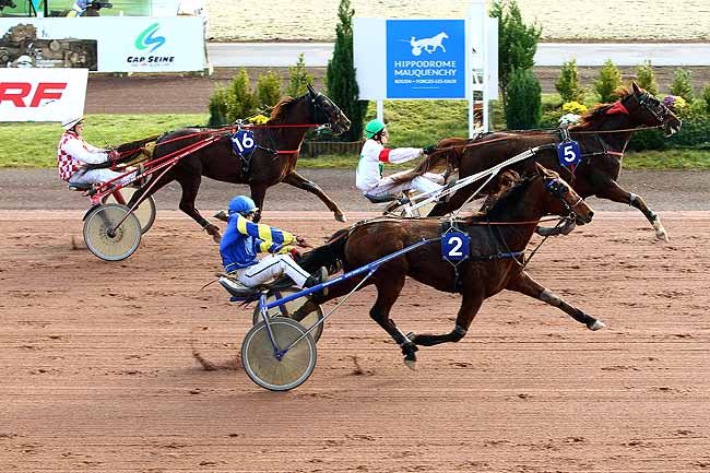 Photo d'arrivée de la course pmu PRIX DU DOMAINE DE FORGES à MAUQUENCHY le Mercredi 18 novembre 2015