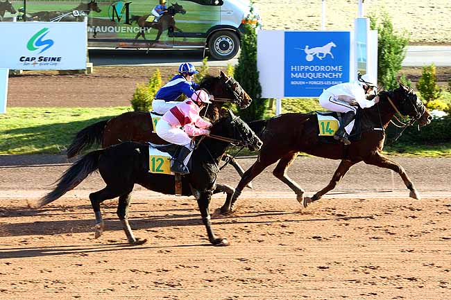 Photo d'arrivée de la course pmu PRIX ANDRE PERDRIX à MAUQUENCHY le Mercredi 18 novembre 2015