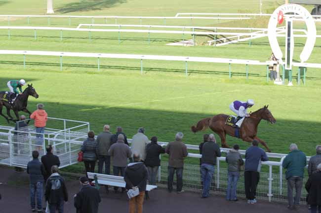 Photo d'arrivée de la course pmu PRIX ORTIE BLANCHE à COMPIEGNE le Mercredi 18 novembre 2015