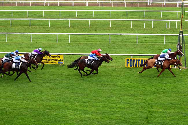Photo d'arrivée de la course pmu PRIX DU COMITE DEPARTEMENTAL DU TOURISME DE SEINE ET MARNE à FONTAINEBLEAU le Jeudi 19 novembre 2015
