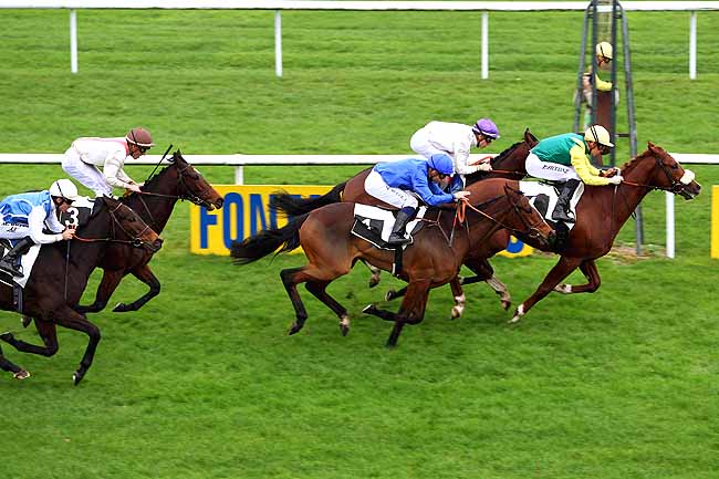 Photo d'arrivée de la course pmu PRIX DE LA PINEDE à FONTAINEBLEAU le Jeudi 19 novembre 2015