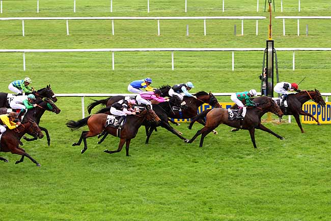 Photo d'arrivée de la course pmu PRIX HUBERT DE CATHEU à FONTAINEBLEAU le Jeudi 19 novembre 2015