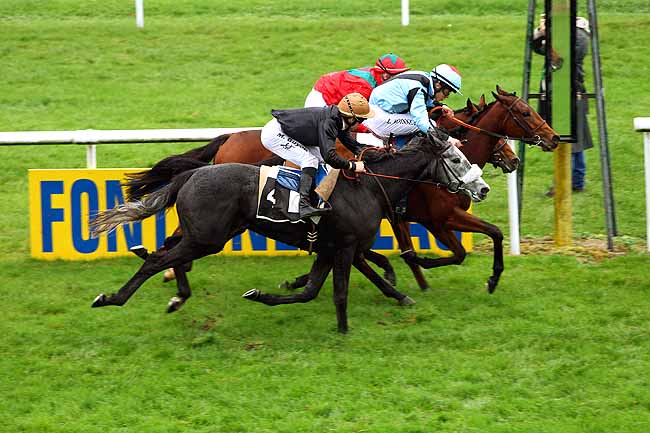 Photo d'arrivée de la course pmu PRIX DE LA TOUCHE AUX MULETS à FONTAINEBLEAU le Jeudi 19 novembre 2015
