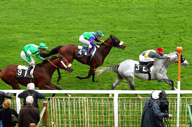 Photo d'arrivée de la course pmu PRIX CONTESSINA à FONTAINEBLEAU le Jeudi 19 novembre 2015