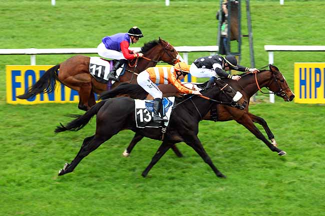 Photo d'arrivée de la course pmu PRIX CERES à FONTAINEBLEAU le Jeudi 19 novembre 2015