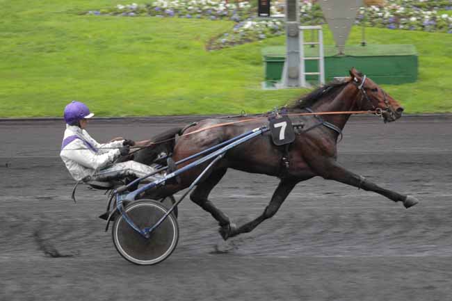 Photo d'arrivée de la course pmu PRIX DE CARENTAN (GR A) à PARIS-VINCENNES le Jeudi 19 novembre 2015