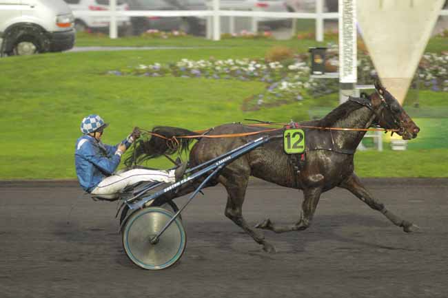 Photo d'arrivée de la course pmu PRIX DE JULLOUVILLE à PARIS-VINCENNES le Jeudi 19 novembre 2015