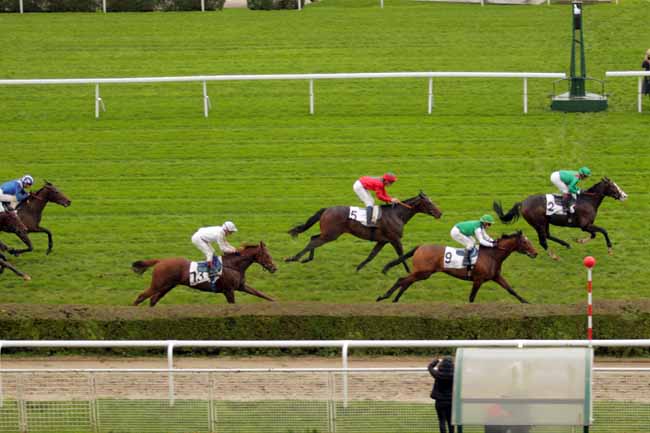 Photo d'arrivée de la course pmu PRIX ANTIVARI à SAINT-CLOUD le Vendredi 20 novembre 2015