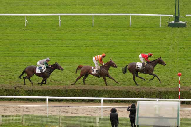 Photo d'arrivée de la course pmu PRIX FAIRY LEGEND à SAINT-CLOUD le Vendredi 20 novembre 2015