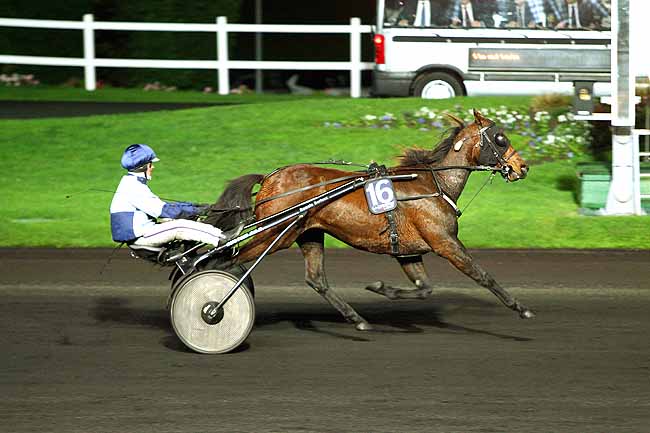 Photo d'arrivée de la course pmu PRIX TRITON à PARIS-VINCENNES le Vendredi 20 novembre 2015
