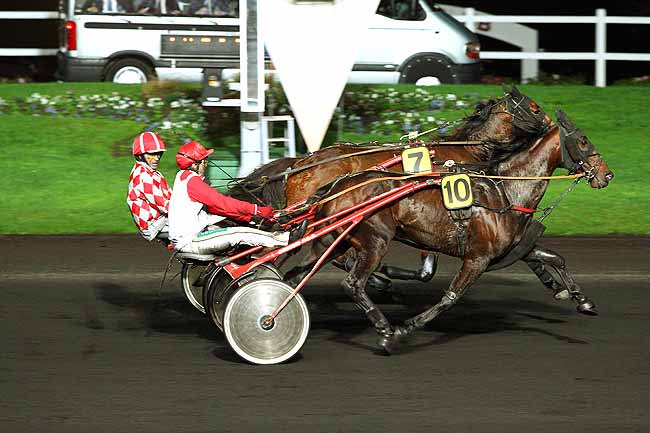 Photo d'arrivée de la course pmu PRIX EURYNOME (GR A) à PARIS-VINCENNES le Vendredi 20 novembre 2015