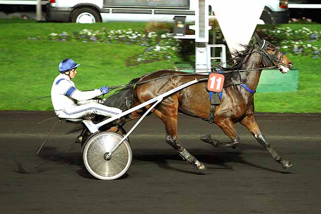 Photo d'arrivée de la course pmu PRIX EURYNOME (GR B) à PARIS-VINCENNES le Vendredi 20 novembre 2015