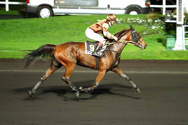 Photo d'arrivée de la course pmu PRIX OHIO à PARIS-VINCENNES le Vendredi 20 novembre 2015