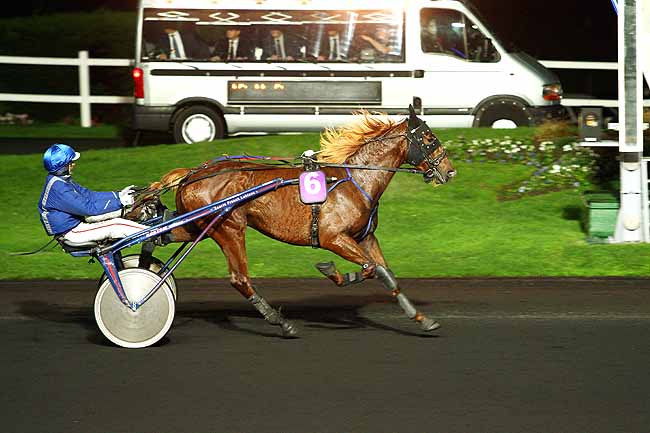 Photo d'arrivée de la course pmu PRIX HERMENTARIA à PARIS-VINCENNES le Vendredi 20 novembre 2015