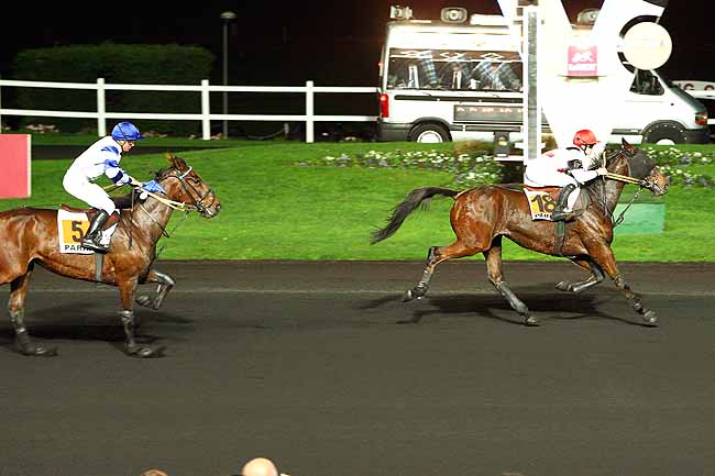 Photo d'arrivée de la course pmu PRIX PHILAGORIA à PARIS-VINCENNES le Vendredi 20 novembre 2015