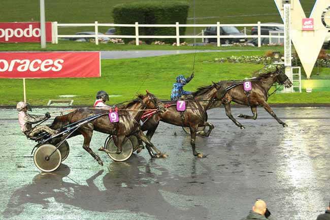 Photo d'arrivée de la course pmu PRIX ANNICK DREUX - CRITERIUM DES POULICHES à PARIS-VINCENNES le Samedi 21 novembre 2015