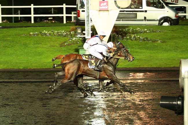 Photo d'arrivée de la course pmu PRIX DE LA BRESSE à PARIS-VINCENNES le Samedi 21 novembre 2015
