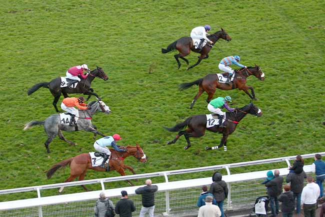 Photo d'arrivée de la course pmu PRIX MARC ANTONY à AUTEUIL le Dimanche 22 novembre 2015